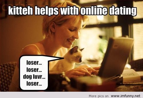 funny-pictures-cat-helps-with-online-dating